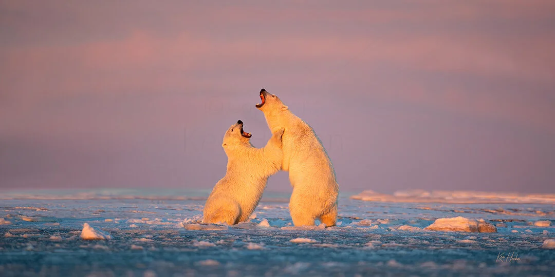 Polar+Opposites+signed+v1+